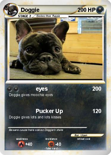 Pokemon Doggie