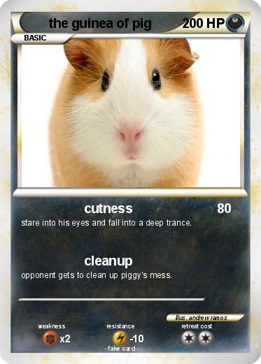 Pokemon the guinea of pig