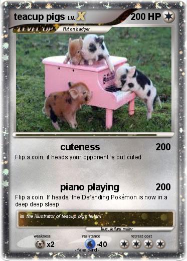 Pokemon teacup pigs