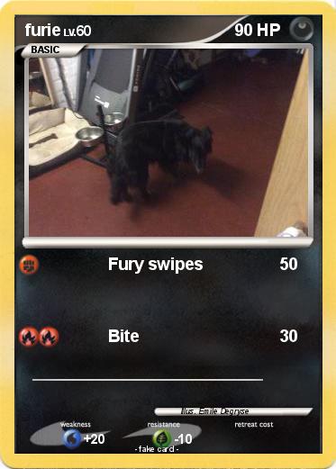 Pokemon furie