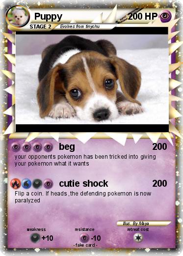 Pokemon Puppy