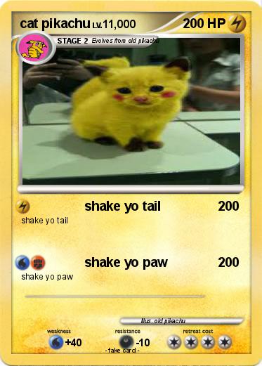 Pokemon cat pikachu