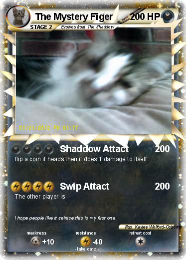 Pokemon The Mystery Figer