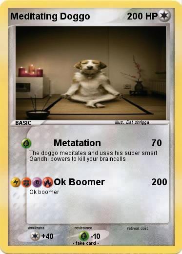 Pokemon Meditating Doggo