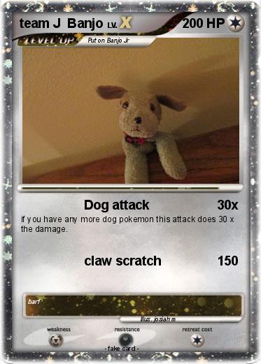 Pokemon team J  Banjo