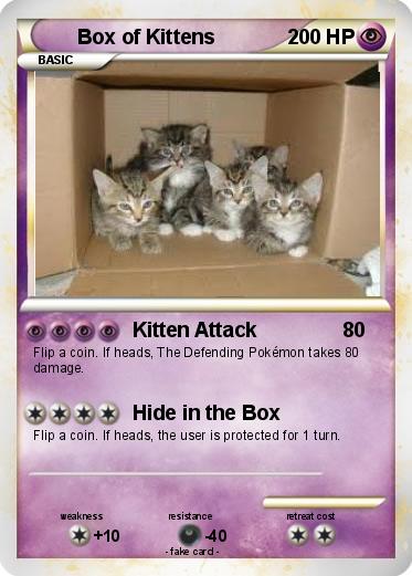 Pokemon Box of Kittens