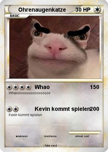Pokemon Ohrenaugenkatze