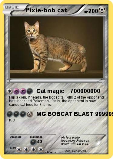 Pokemon Pixie-bob cat
