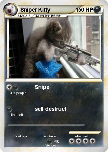 Pokemon Sniper Kitty