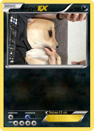 Pokemon Bogyó