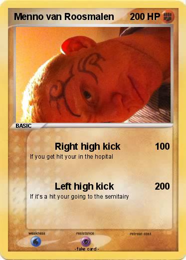 Pokemon Menno van Roosmalen