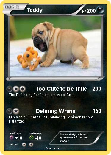 Pokemon Teddy