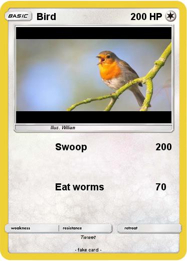 Pokemon Bird