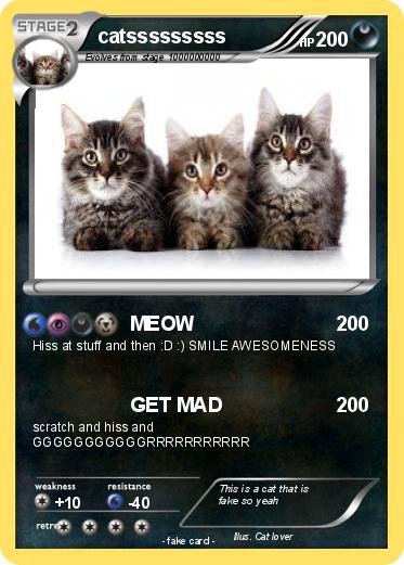 Pokemon catsssssssss