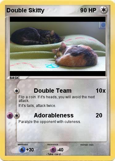 Pokemon Double Skitty