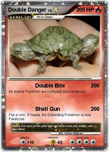 Pokemon Double Danger
