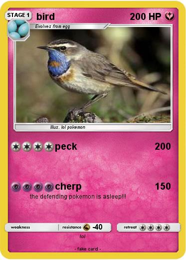Pokemon bird