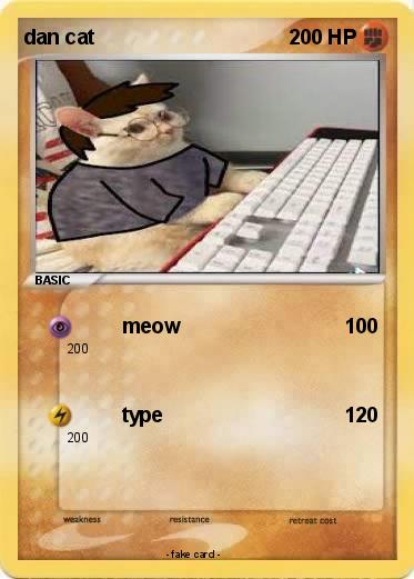 Pokemon dan cat
