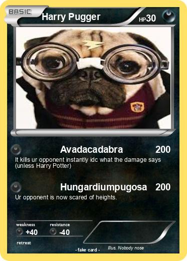 Pokemon Harry Pugger