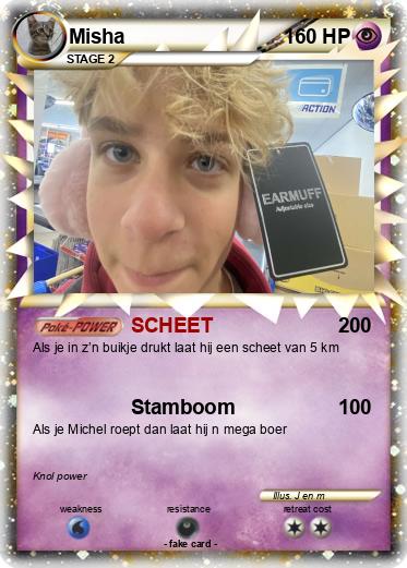 Pokemon Misha