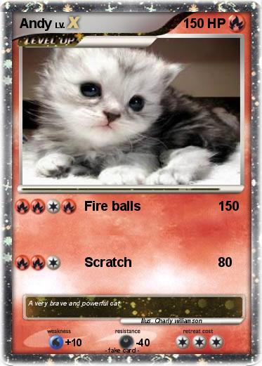 Pokemon Andy