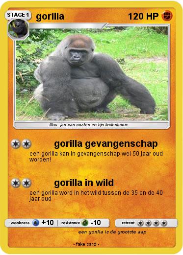 Pokemon gorilla