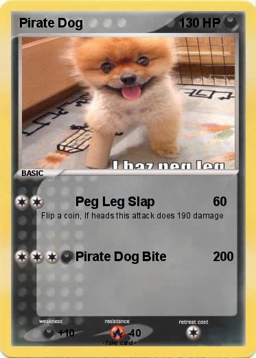 Pokemon Pirate Dog