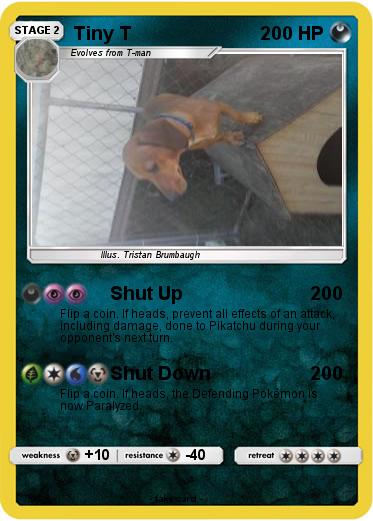 Pokemon Tiny T