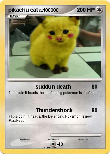Pokemon pikachu cat