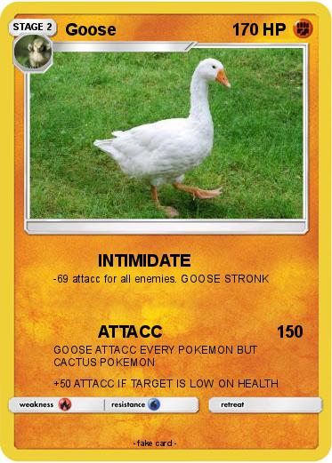 Pokemon Goose