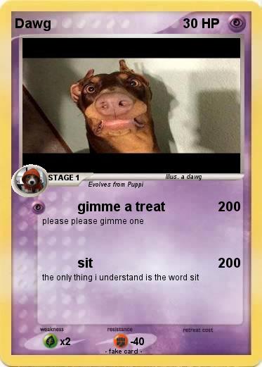 Pokemon Dawg