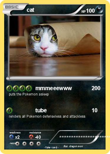 Pokemon cat