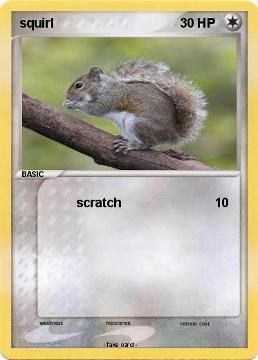 Pokemon squirl
