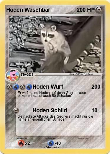 Pokemon Hoden Waschbär