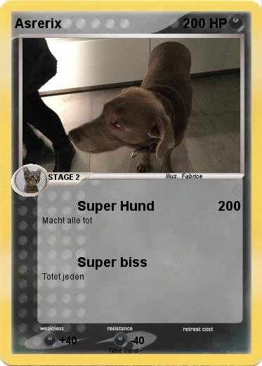 Pokemon Asrerix