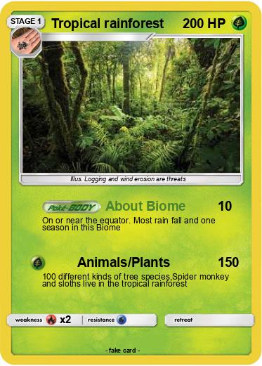 Pokemon Tropical rainforest