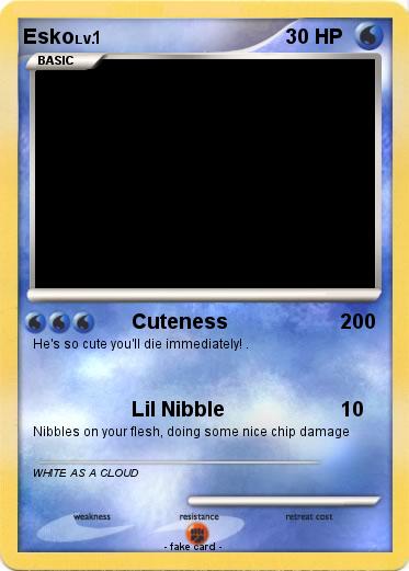 Pokemon Esko