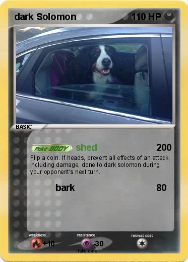 Pokemon dark Solomon