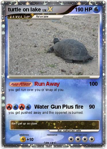 Pokemon turtle on lake