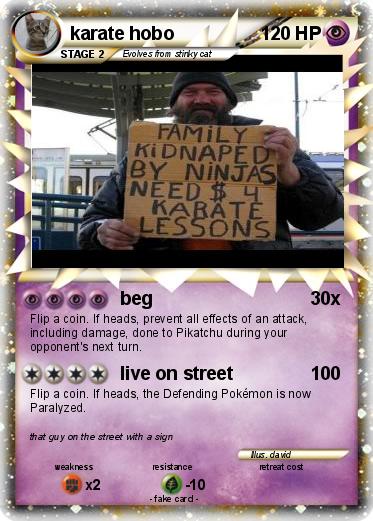 Pokemon karate hobo