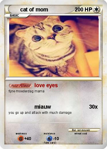 Pokemon cat of mom