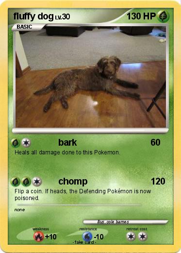 Pokemon fluffy dog
