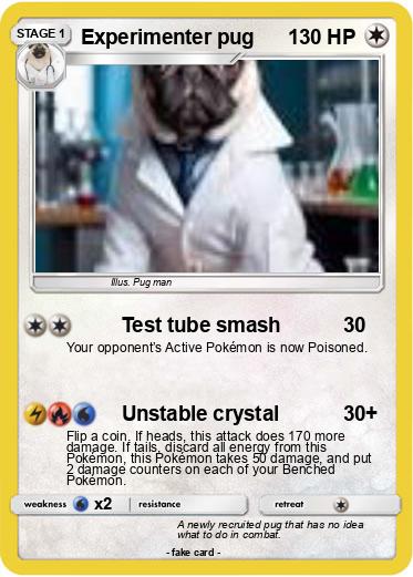 Pokemon Experimenter pug