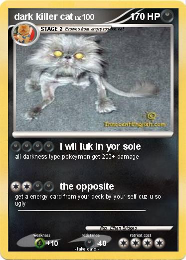 Pokemon dark killer cat