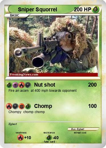 Pokemon Sniper Squorrel