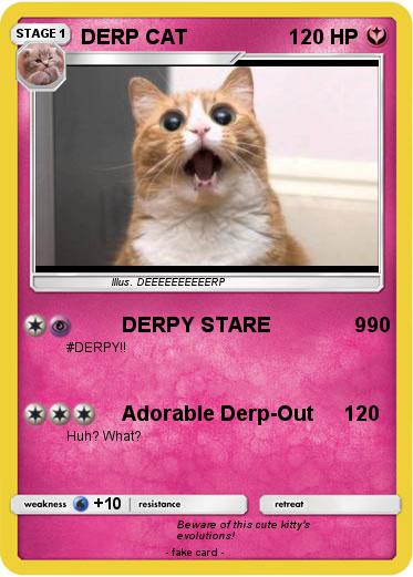 Pokemon DERP CAT