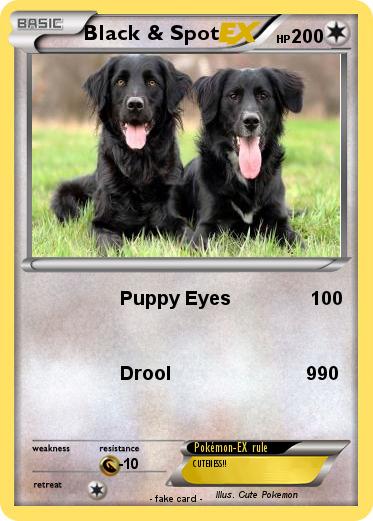 Pokemon Black & Spot