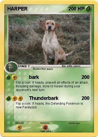 Pokemon HARPER
