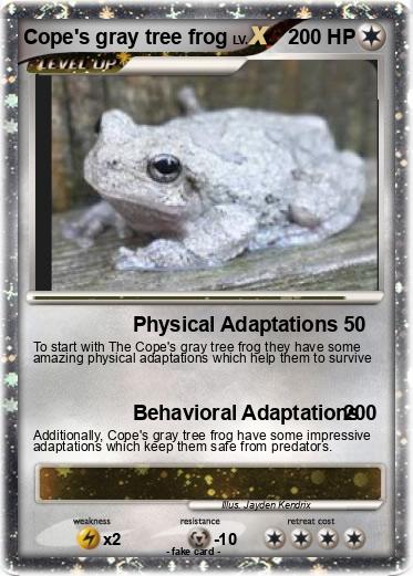 Pokemon Cope's gray tree frog