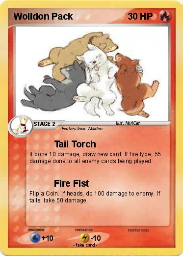 Pokemon Wolidon Pack